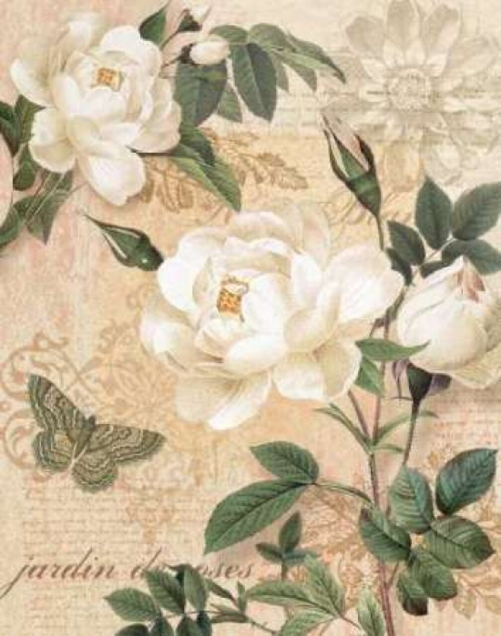 Gardeners Gift I Poster Print by Ching Han - Item # VARPDXCC3057